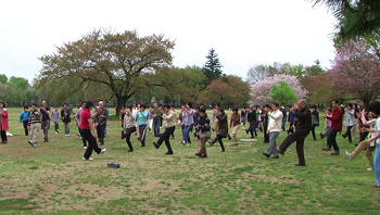 2012-4-21武蔵野中央公園　野外教室